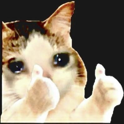 Head shot AI regenerated nonsense.