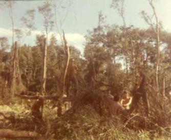 Clearing Bamboo on L.Z. Jamie 1969 ~  No description included. 