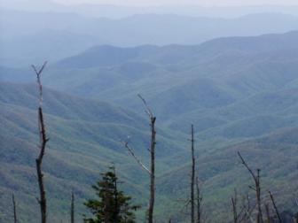 Clingman's Dome ~ The highest point in TN.  6.,600 plus feet.  