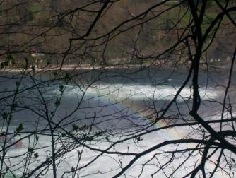 Hoopsches Rheinfall ~  The Rheinfall was gorgeous. I wish we could have taken the boat ride. 