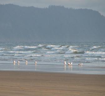 "Ocian in view! O! The Joy!" ~  Pacific Ocean just south of Astoria at the mouth of the Columbia. 