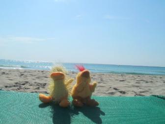 Beach Babes ~ More holiday ducks enjoying the sun and sands. 