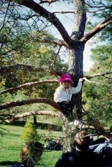 KU Fall, 2007 ~  girl with pink hat up in the pine tree 