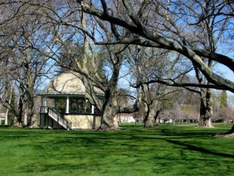 Pioneer Park band stand ~  Mammoth, long armed sycamores have not yet leafed out in April 2008. 