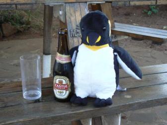 Penguin and beer ~  Just enjoying myself with a cold Castle after a day on the links. 