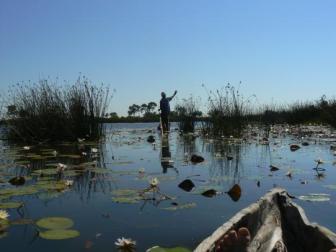 Delta Dawn ~  Staring at my toes as we paddle on deeper into the Okavango Delta. 