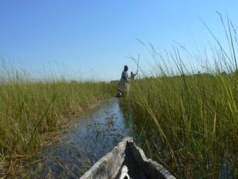 The Path Rarely Taken ~  Dodging reeds and bugs on our way to the campsite. 