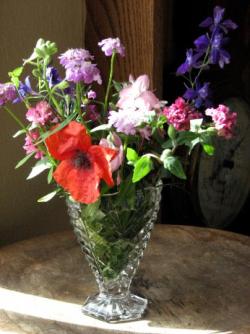 November flowers ~  A bouquet of wildflowers picked from Seamus's grave in November. 