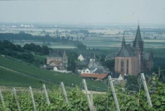 The Cathedral in Oppenheim am Rhein ~ A view from the vineyards above the burg of Oppenheim on the Rhine River.