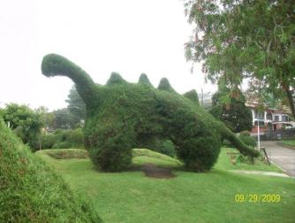 Juriassic Park? ~   Juriassic Park  was filmed partly on Cocos Island in Costa Rica; but, this dinosaur is the creation of Evangelisto Blanco and lives in the topiary gardens in front of the church in Zarcero, Alvaro Ruiz, Alajuela, Costa Rica. There are no signs he/she is a carnivore.  