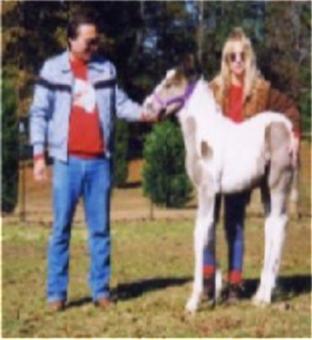 Howard, Me & Legacy ~  This was the first colt born to us starting off as Breeders over sixteen years ago, a spotted Tennessee Walker we named Legacy.  The name of our ranch is called Rainbow Walkers.  You can look up the Website I created with the same name, Rainbow Walkers.  Check it out when you have the time, though it's not updated, I'm sorry. 