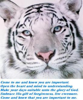 Come ~  This white tiger inspired this little ditty.. 