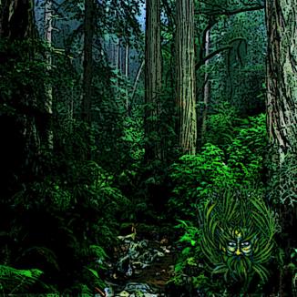FOREST MAN ~ 
Fun Photoshop blending of forest photo and graphic manipulations.