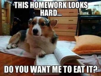 Dog Eats Homework ~  No description included. 