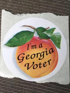 My Vote is History ~ I’ve honored my ancestors by voting in the 2020 General Election.