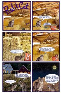 RAT & CAT ISSUE # 3 ~ RAT introduces CAT to the possibilities found in a barn.