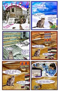 RAT & CAT ISSUE # 5 ~ RAT &CAT need to find a new dwelling.
