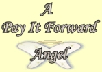 This is an image of my Pay it Forward 'Angel Wings'.