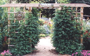 Entrance to butterfly garden.