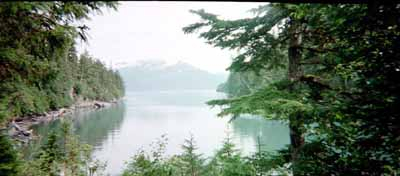 Off the fjord not far from Whittier, Alaska