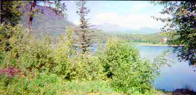 A small lake nestled in the Talkeetna Mountains.