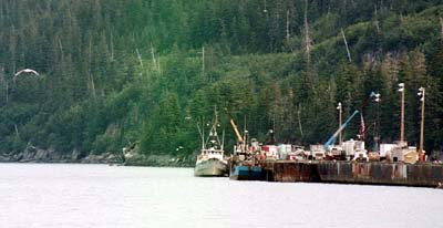The fishing boats are docked at Whittier, Alaska