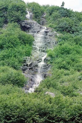 The falls start way above the water