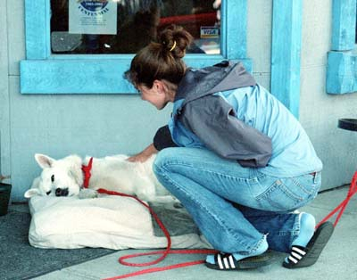 Jennifer pets a real sled dog