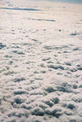 A carpet of clouds spreads below the plane.