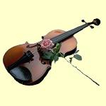 Her favorite musical instrument, the violin.
Her favorite flower, the red rose.