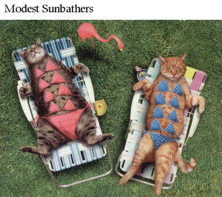 Cute Sun Bathers