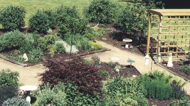 Picture of my butterfly garden