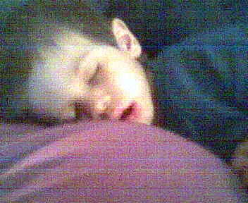 Jonah, age 2 1/2, sleeping on his pillow, better known as dad's tummy.