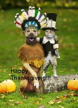 Happy Thanksgiving to all.