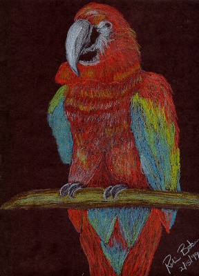 My first drawing with colored pencils.