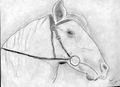 A drawing of a horse, done by me.