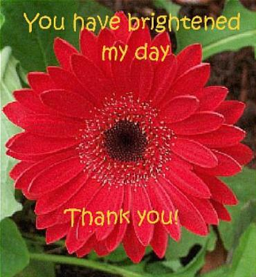 C-note Image. You brightened my day.  Thank you!