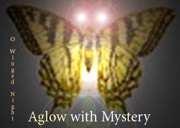 O Winged Night, Aglow with Mystery...What do you see?