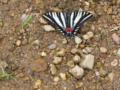 taken on a hike at Gethsemane Trappist Monastery