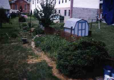 Photo of wildflower garden prior to it becoming a railroad.