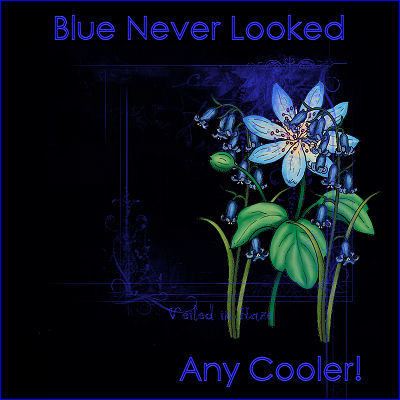 Image for Blue Case Promotions