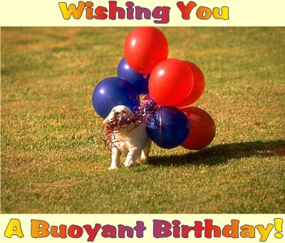 Birthday Wishes