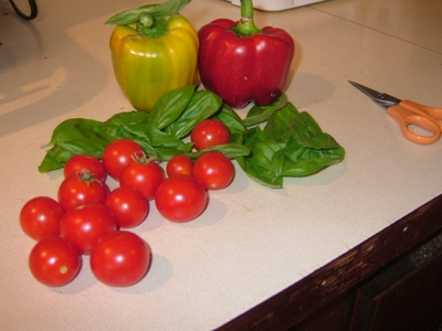 Harvest from my contanier garden that will flavor tonights supper
