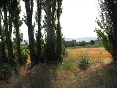 Summery scenery on the way to work