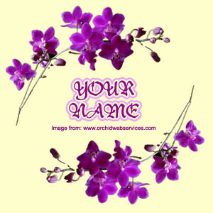 Purple Orchid-1