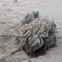 A picture of junque on the shore after a storm