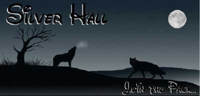 Banner for a member's port