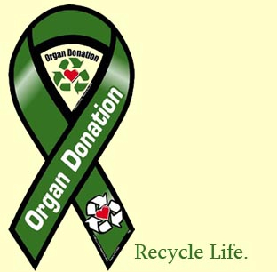 recycle life image