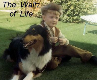 For Waltz of Life