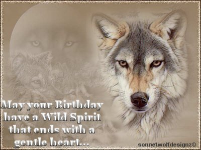 wild spirit bday note